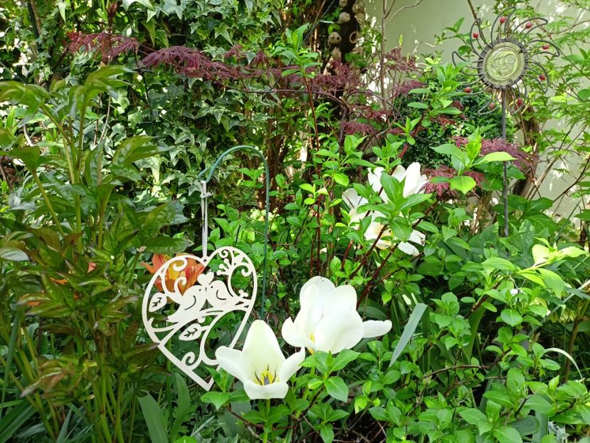 07.04.2024 - Grădina 2024 continuare 1