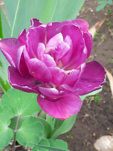  - FEBRUARIE- MARTIE- APRILIE