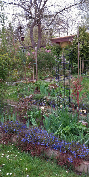  - 2024 - 01 - Primavara