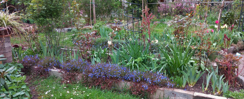  - 2024 - 01 - Primavara