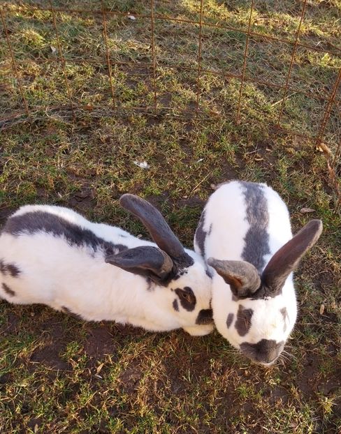  - 10 Noi achiziții 2023