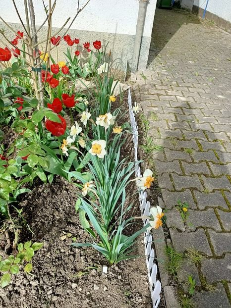 Img.2024.04.08 - A doua grădină