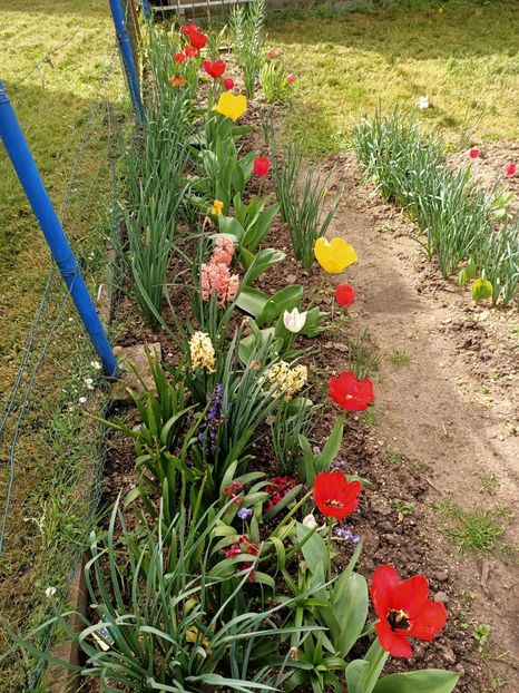 Img.2024.04.08 - A doua grădină