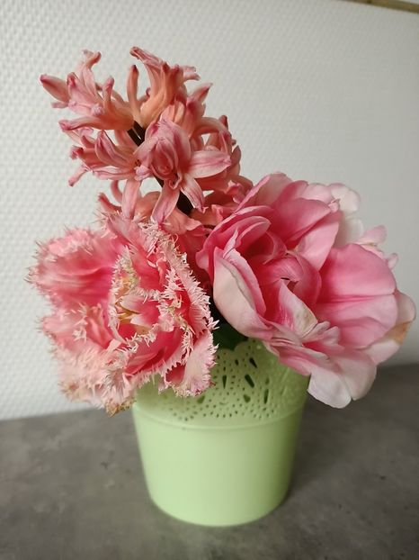 Img.2024.04.08 - A doua grădină