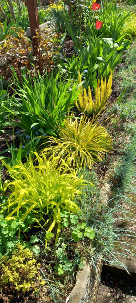  - 2024 - 01 - Primavara