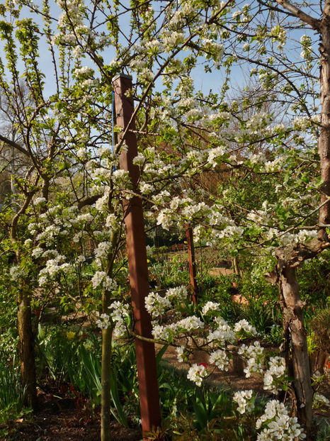  - 2024 - 01 - Primavara