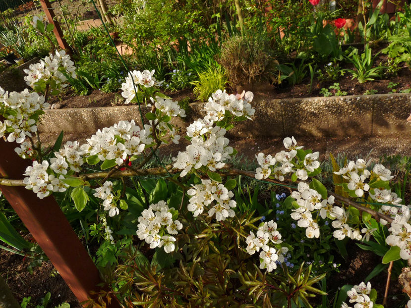  - 2024 - 01 - Primavara