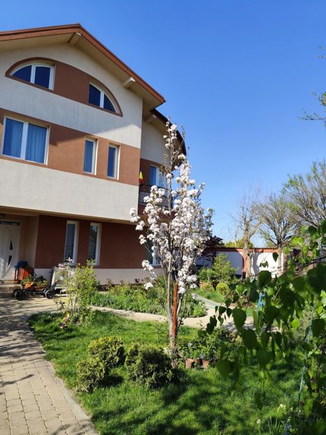  - Primăvara 2024