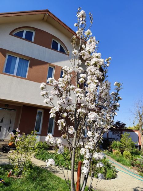  - Primăvara 2024
