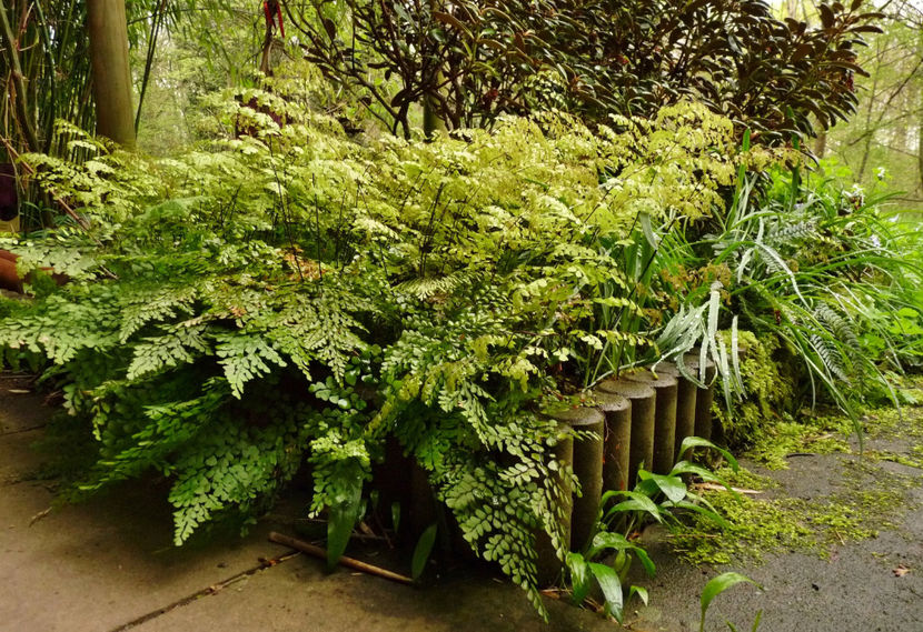  - 2024 - 01 - Primavara