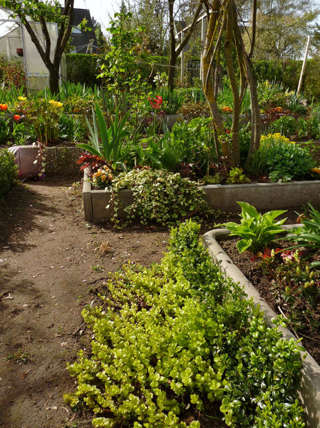  - 2024 - 01 - Primavara