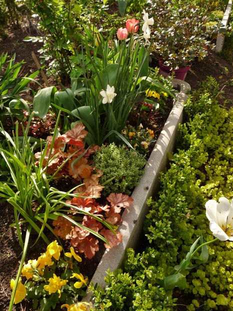  - 2024 - 01 - Primavara