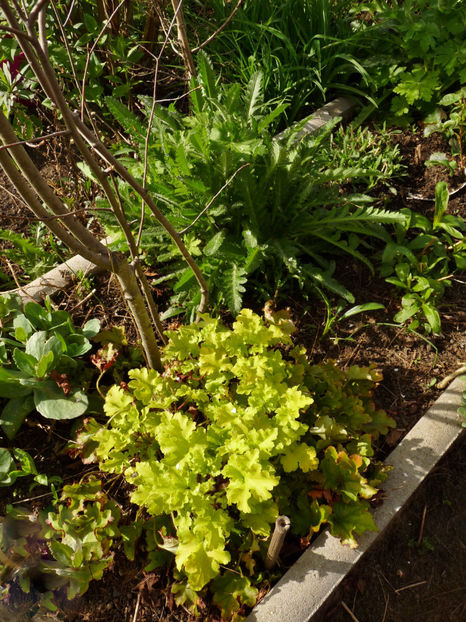  - 2024 - 01 - Primavara