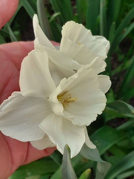  - FEBRUARIE- MARTIE- APRILIE