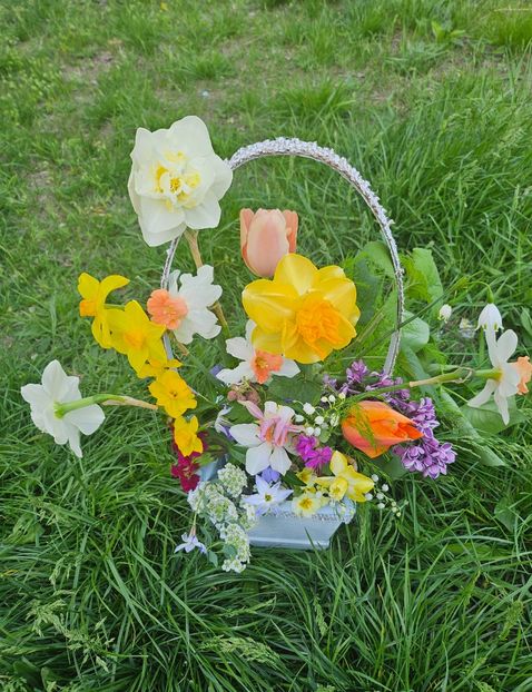  - Narcise 2018 24 25