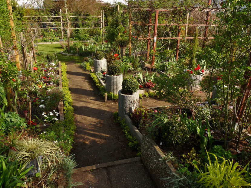  - 2024 - 01 - Primavara