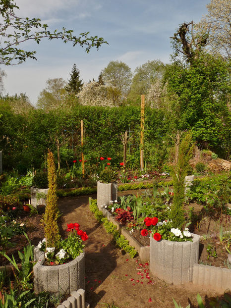  - 2024 - 01 - Primavara