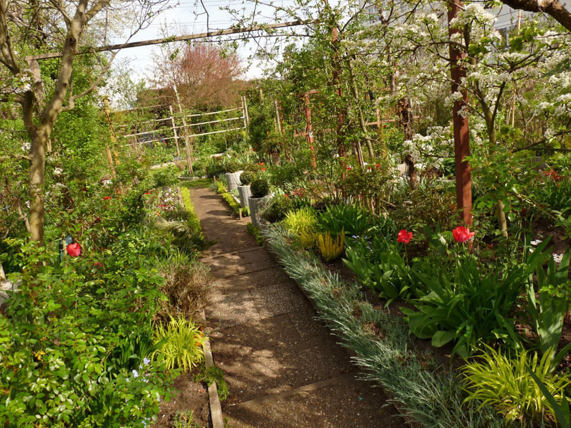  - 2024 - 01 - Primavara