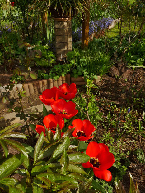  - 2024 - 01 - Primavara