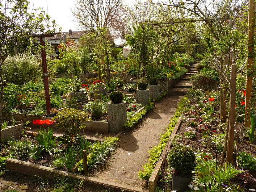  - 2024 - 01 - Primavara