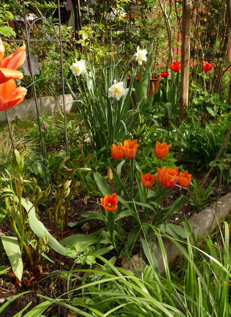  - 2024 - 01 - Primavara