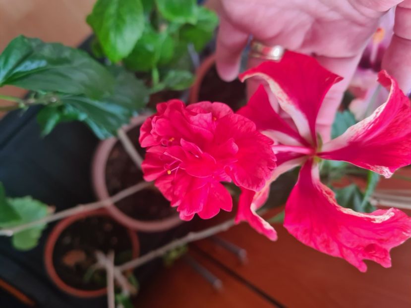 12.04.2024 - Aprilie 2024