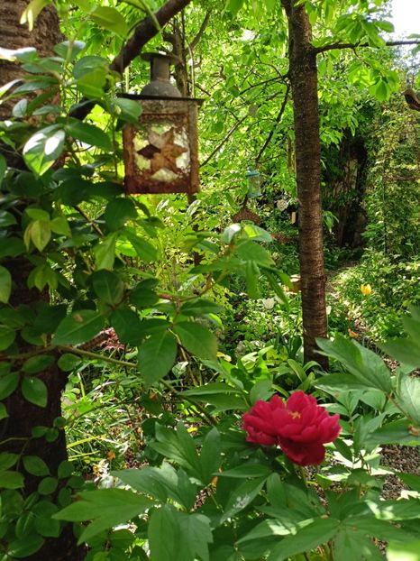 12.04.2024 - Grădina 2024 continuare 1