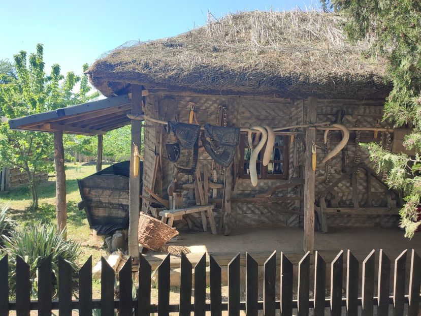  - 2024 - excursie 11 aprilie