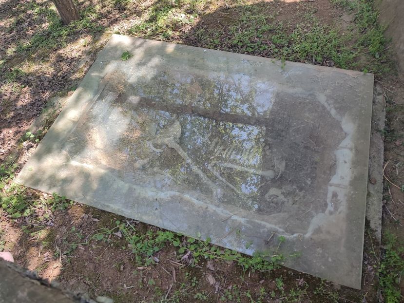  - 2024 - excursie 11 aprilie