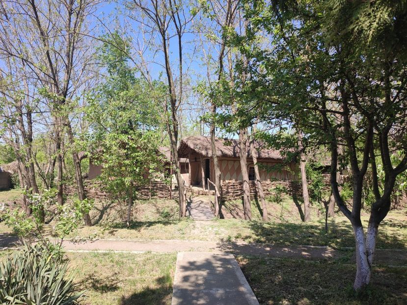  - 2024 - excursie 11 aprilie