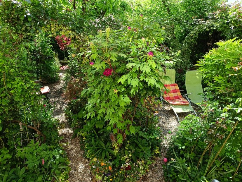  - Grădina 2024 continuare 1