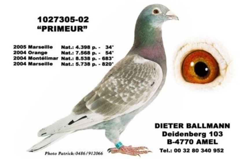 Ballmann_Dieter_1027305-02_Primeur - DIETER BALLMANN