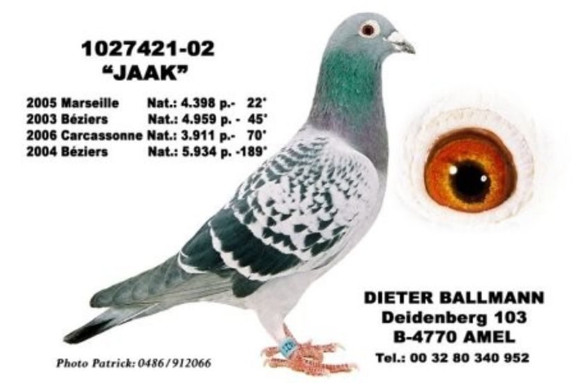 Ballmann_Dieter_1027421-02_Jaak - DIETER BALLMANN