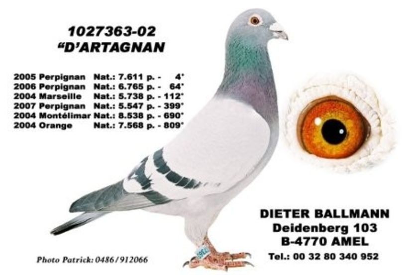 Ballmann_Dieter_1027363-02_d_artagnan - DIETER BALLMANN