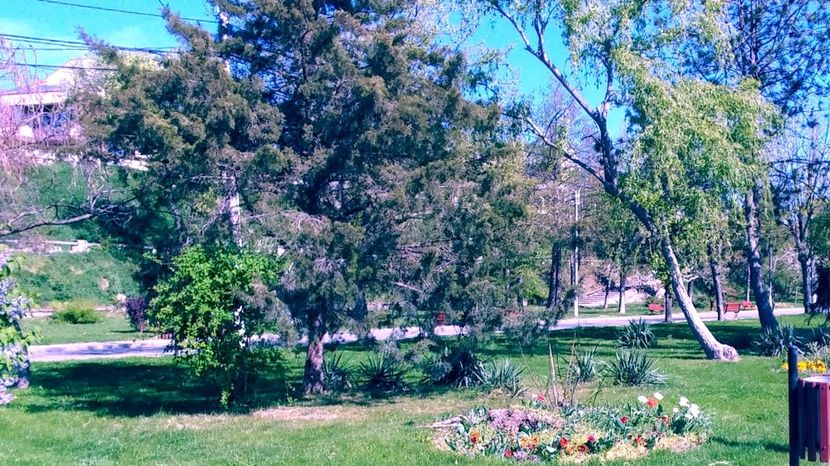  - 2024 APRILIE - BRAILA