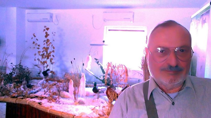  - 2024 APRILIE - BRAILA