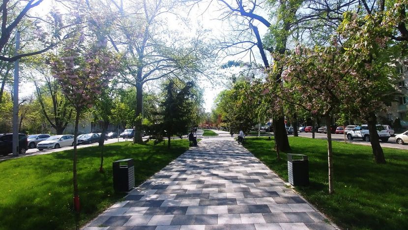 20240411_111957 În parcul din centru - 2024 APRILIE - BRAILA