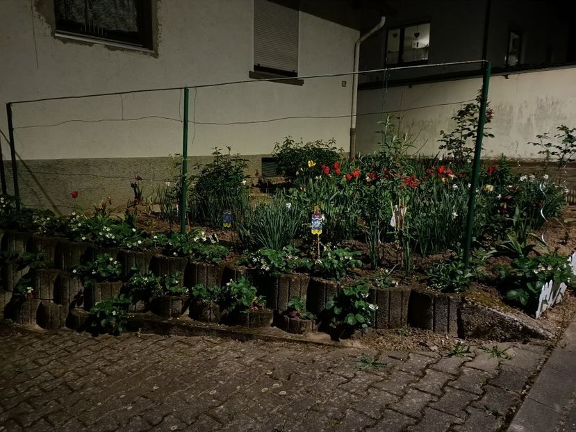 Img.2024.04.13 - A doua grădină