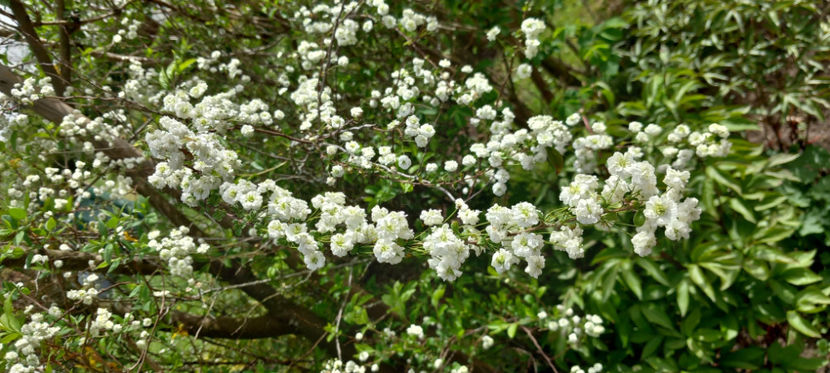  - 2024 - 01 - Primavara