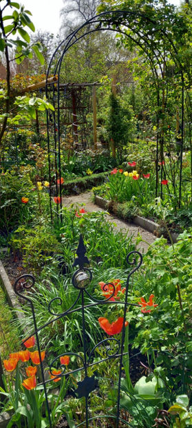  - 2024 - 01 - Primavara