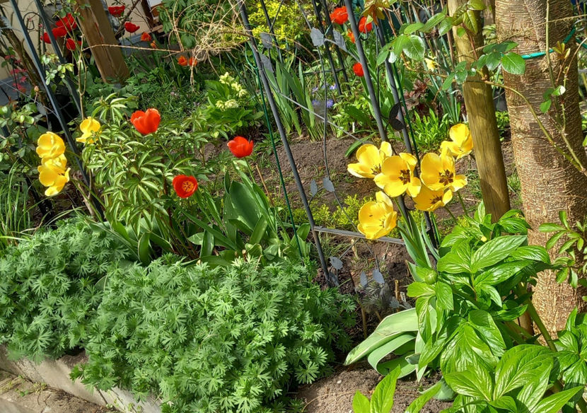  - 2024 - 01 - Primavara