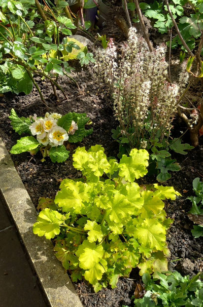  - 2024 - 01 - Primavara