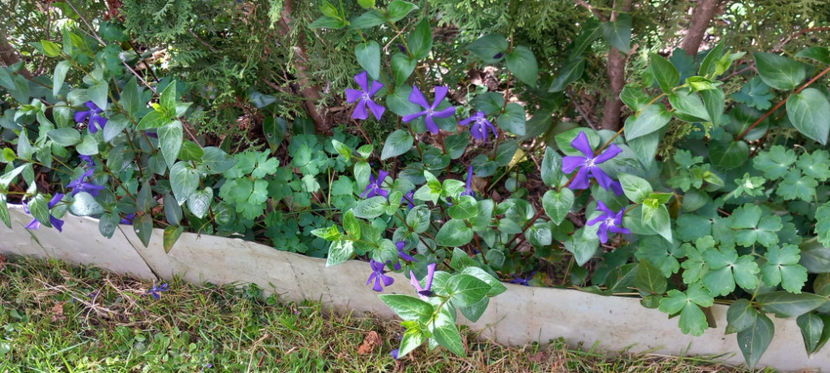  - 2024 - 01 - Primavara