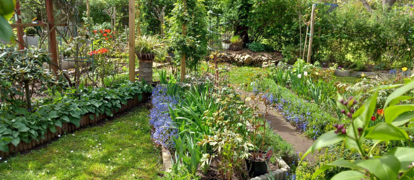  - 2024 - 01 - Primavara