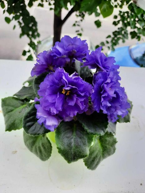 Aprilie 2024 - LE BUNTAR - sport