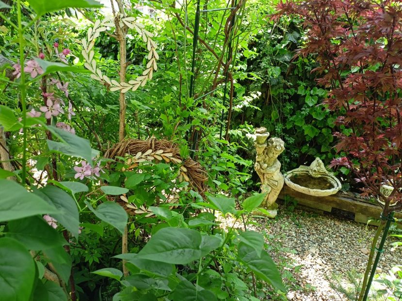  - Grădina 2024 continuare 1