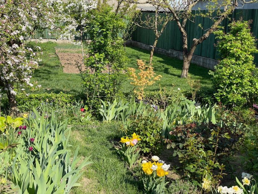  - 002 Grădina 2024 1