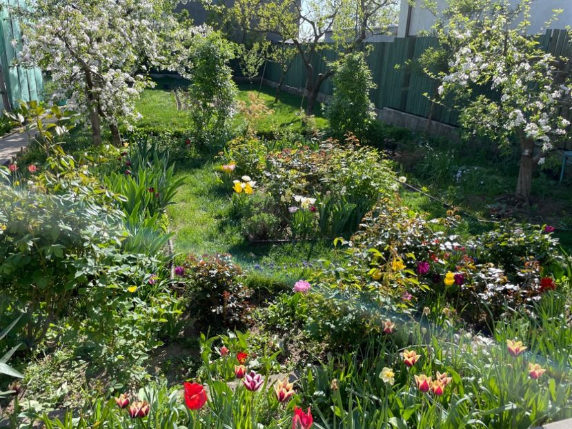  - 002 Grădina 2024 1