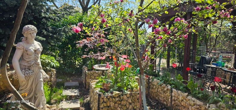  - Gradina 2024