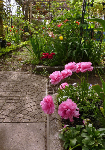  - 2024 - 01 - Primavara